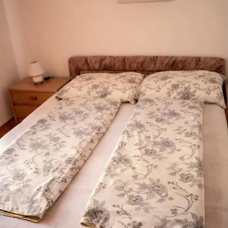 Erika Trogir